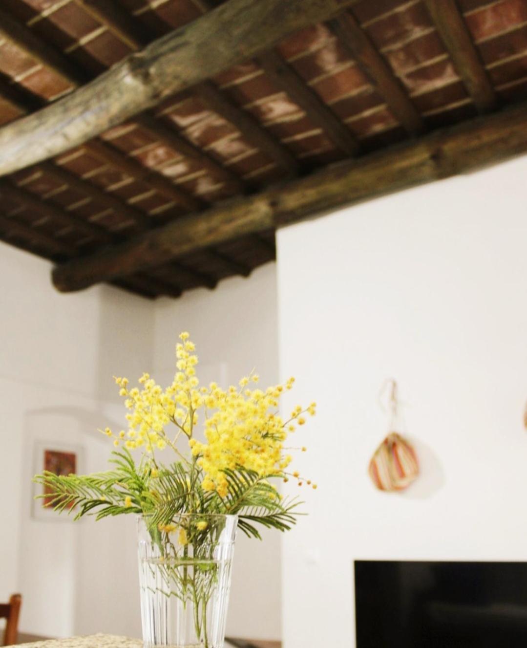 Casa Refugio Evora